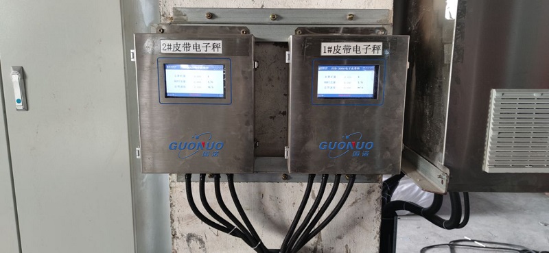 安琪酵母 M1皮带秤2.jpg